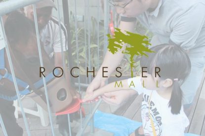 Rochester Mall – A Pony-tastic Carnival