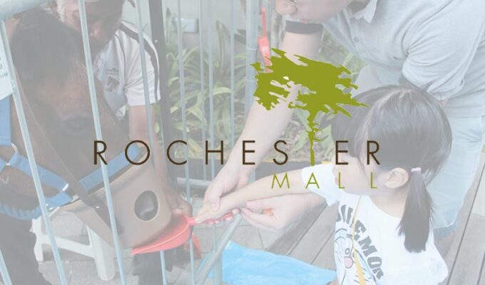 Rochester Mall – A Pony-tastic Carnival