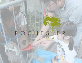 Rochester Mall – A Pony-tastic Carnival