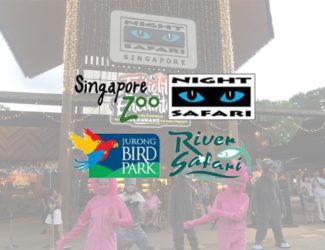 Wildlife Reserves Singapore