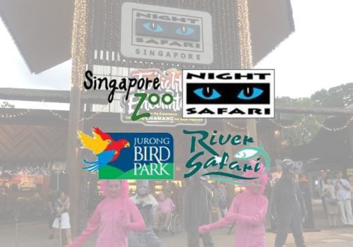 Wildlife Reserves Singapore